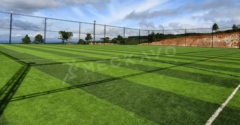Elite Arena Turf | East Khasi Hills | Meghalaya | Meckavo Project